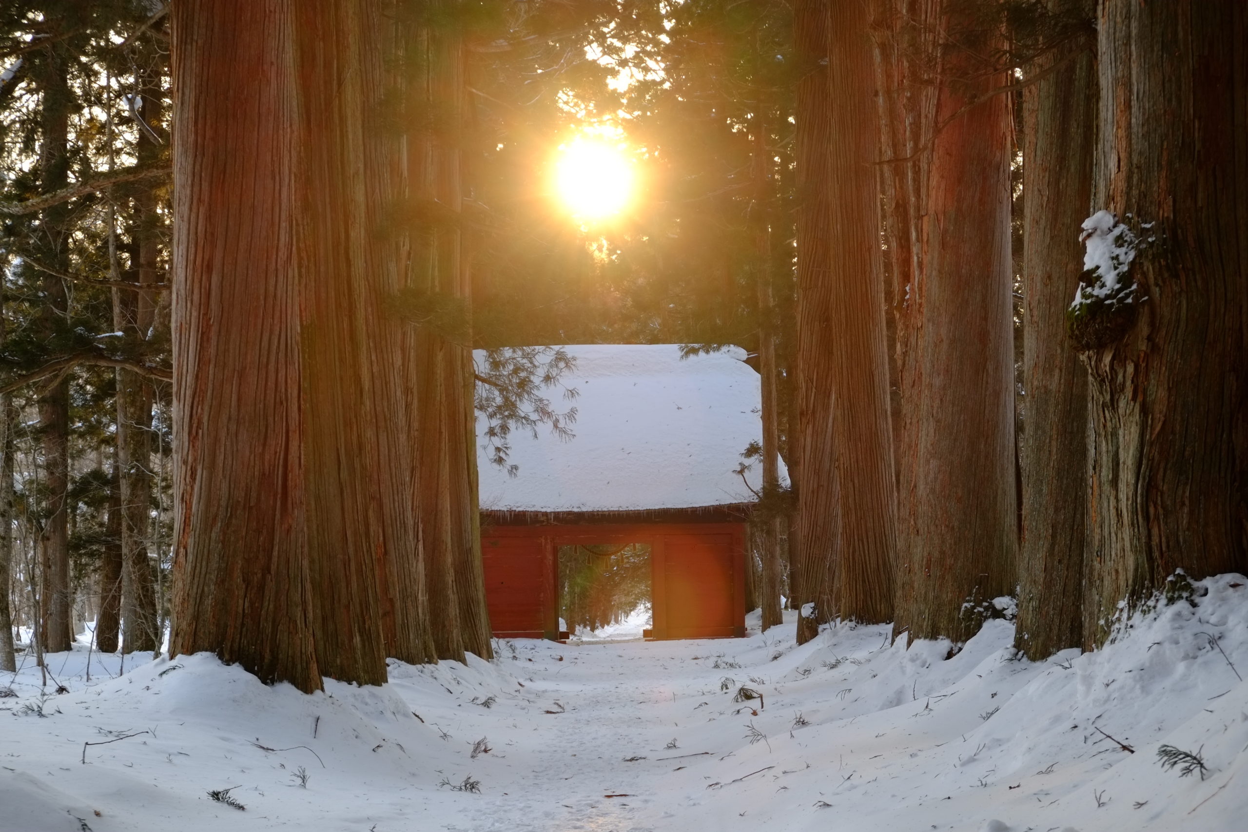 秋の見どころ 100万本のコスモスと パワースポット 戸隠神社 に癒される 公式 春蘭の宿さかえや