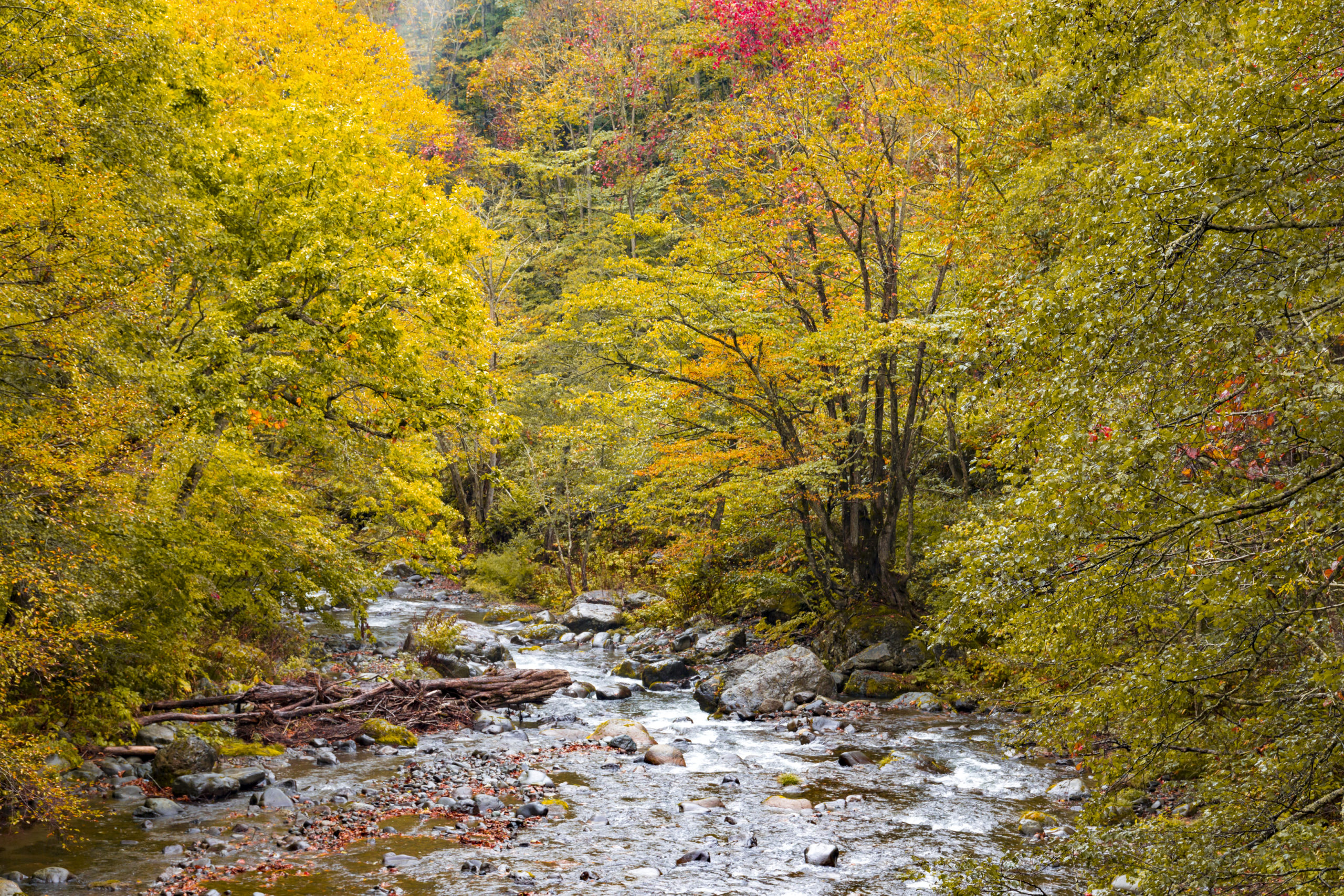 Yamanouchi-43429-scaled.jpg