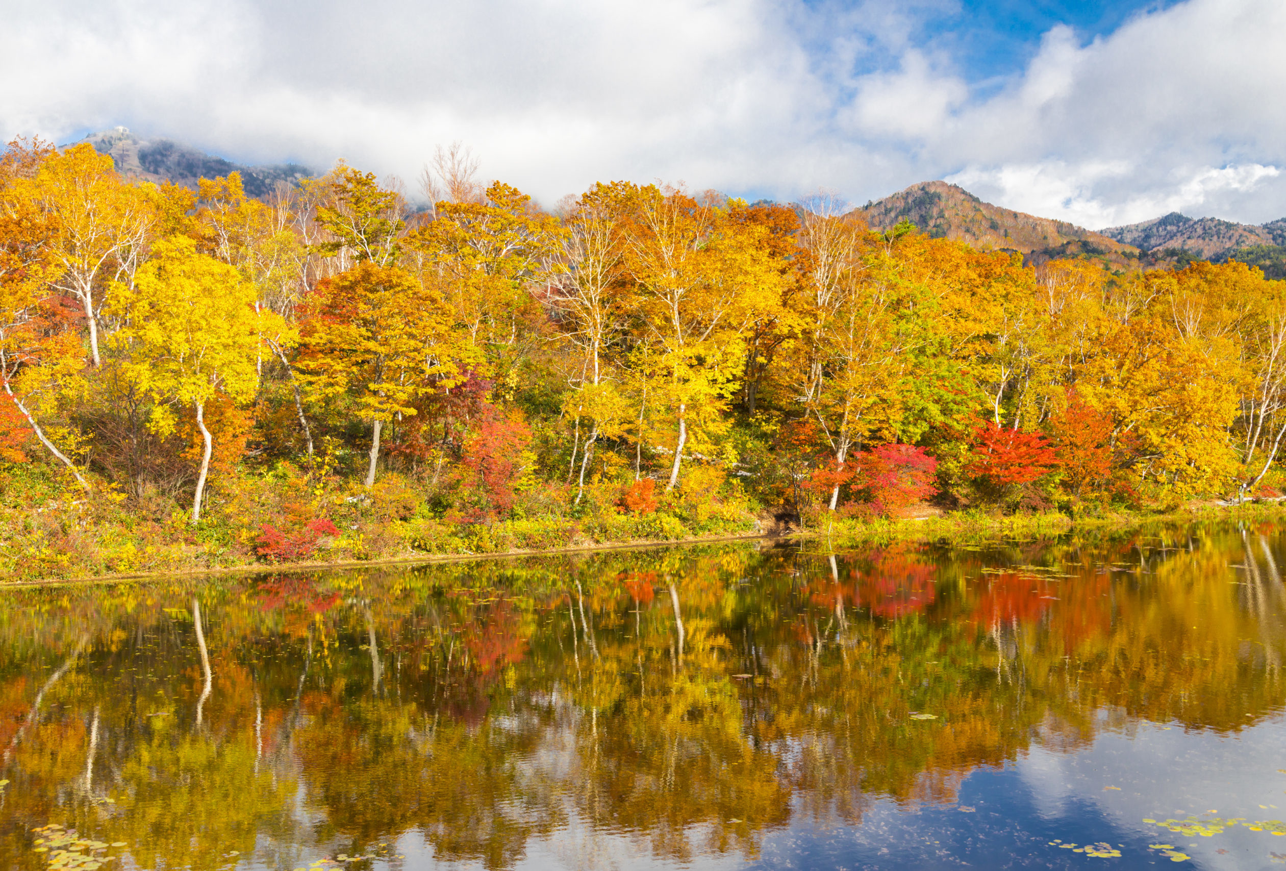 秋の見どころ】志賀高原の自然と、3大滝めぐり。 - 【公式】春蘭の宿さかえや
